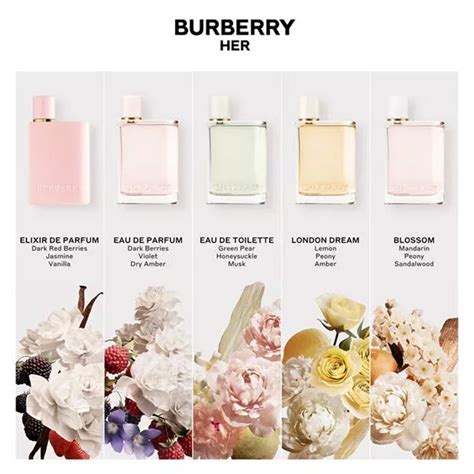 burberry b 3089 iconic|Burberry her fragrance.